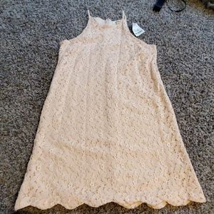 Blush lace dress